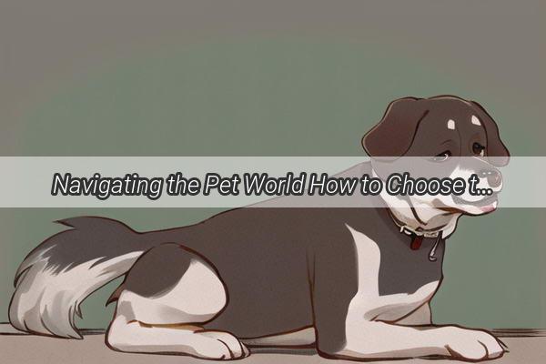 Navigating the Pet World How to Choose the Perfect Dog Mask Brand for Your Furry Friend